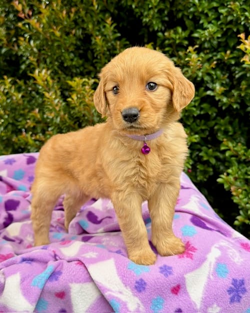 DJI_20260408_123320_145