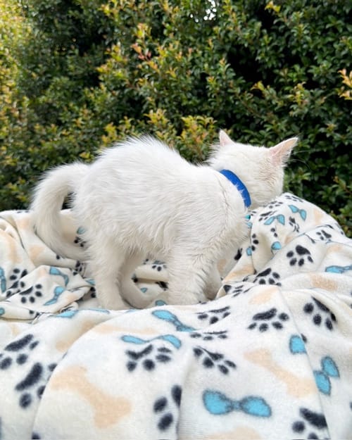 DJI_20260408_124307_434