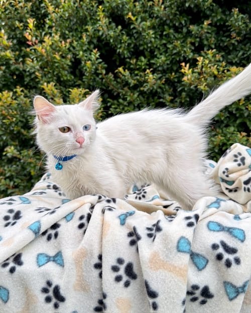 DJI_20260408_124339_624