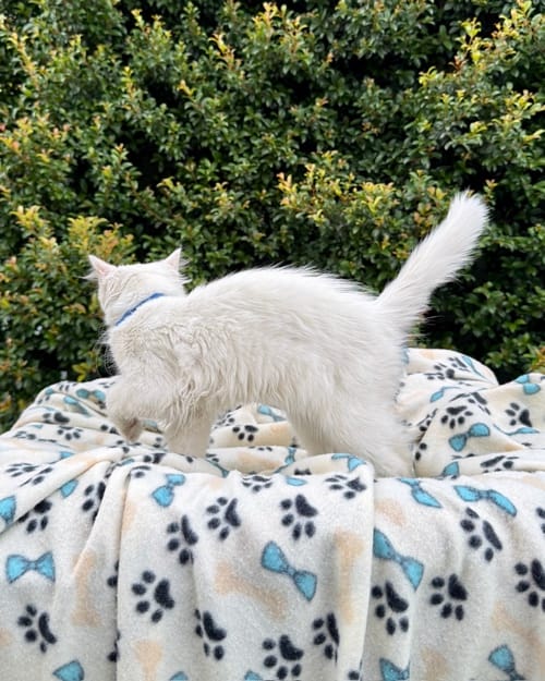 DJI_20260408_124431_435