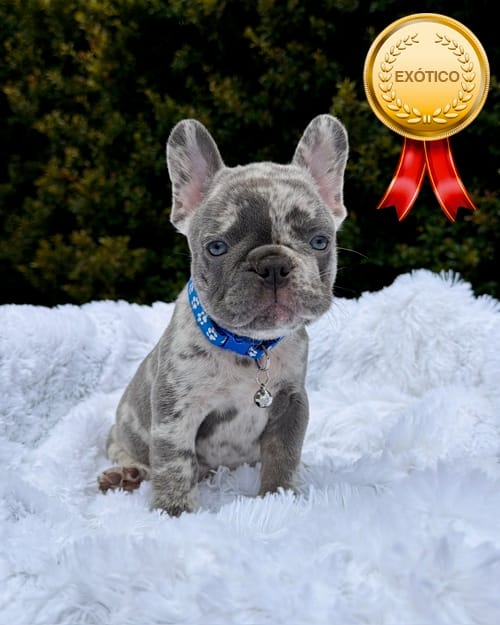 DJI_20260408_133209_074