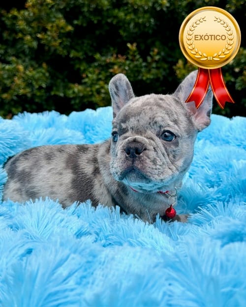 DJI_20260408_134125_503