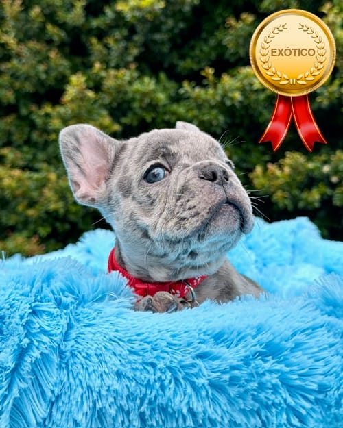 DJI_20260408_134245_184